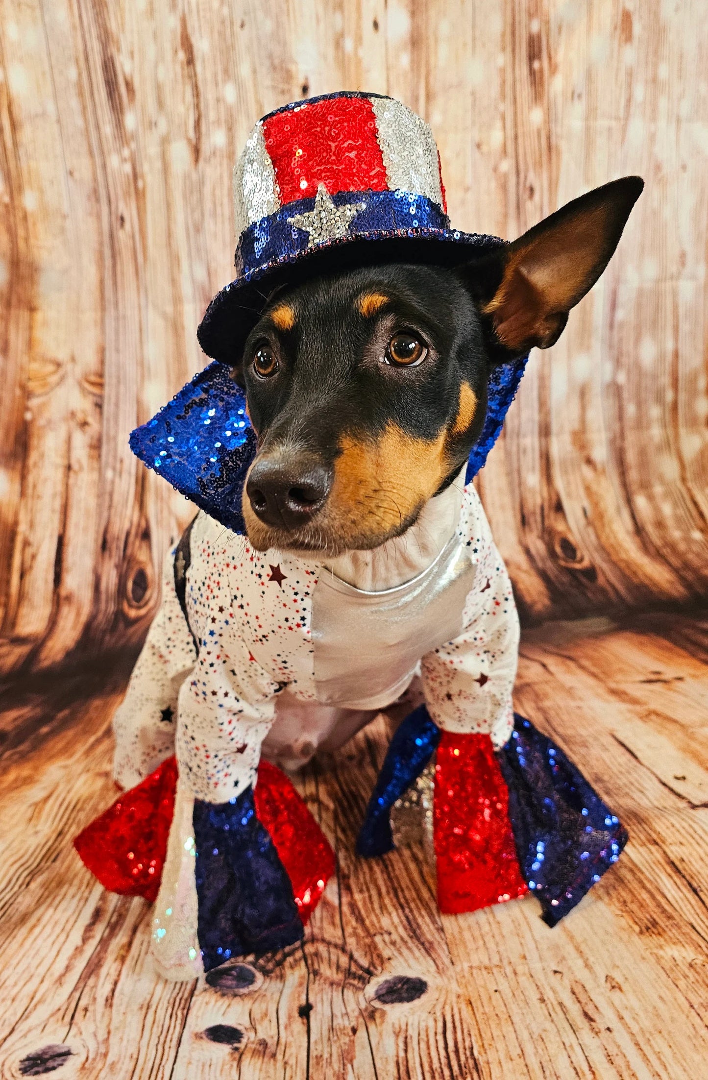 July 4th pet costume, July 4th pet costume, Independence day pet costume, red, white, and blue pet costume, 4th of July dog pet costume