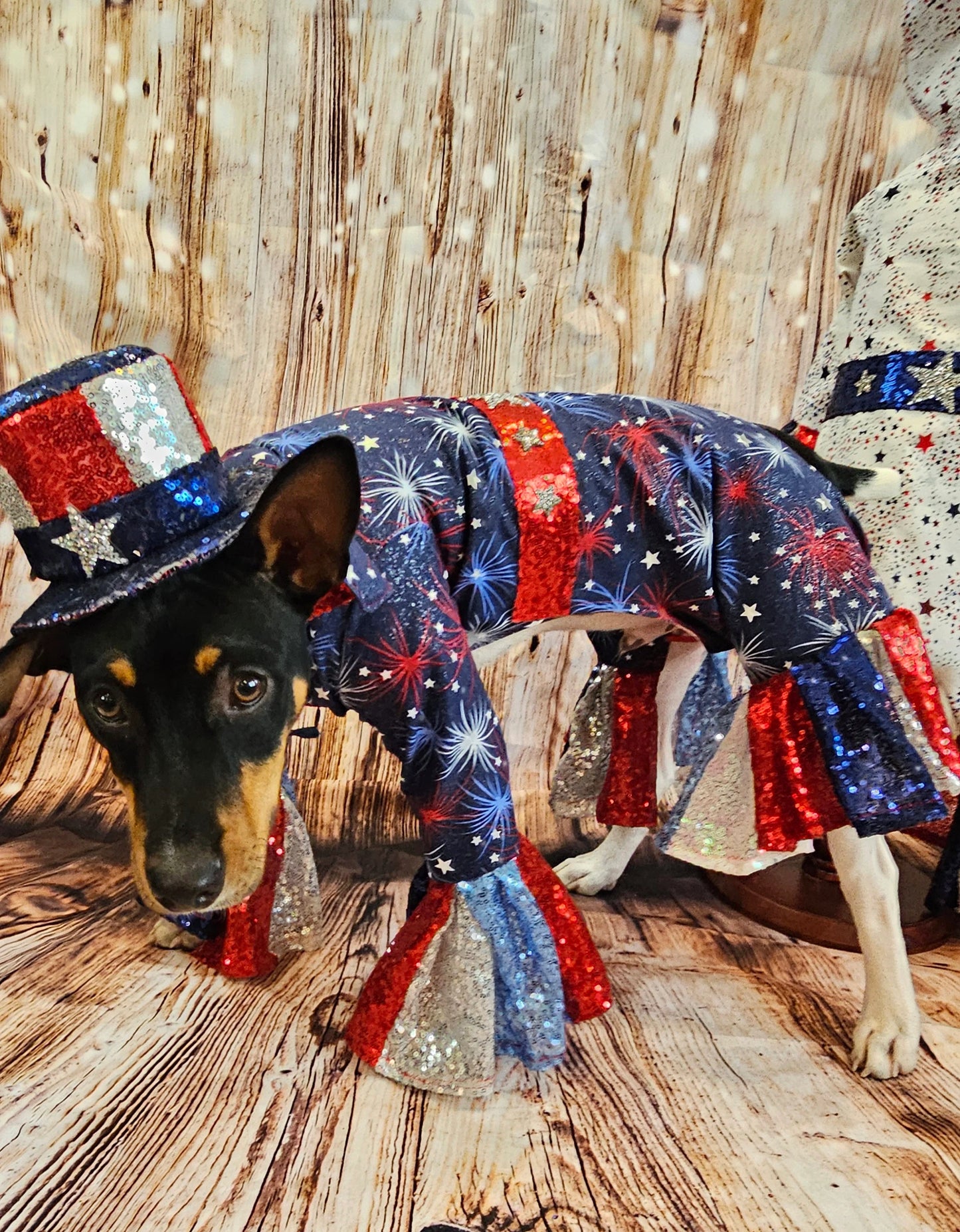 July 4th pet costume, July 4th pet costume, Independence day pet costume, red, white, and blue pet costume, 4th of July dog pet costume