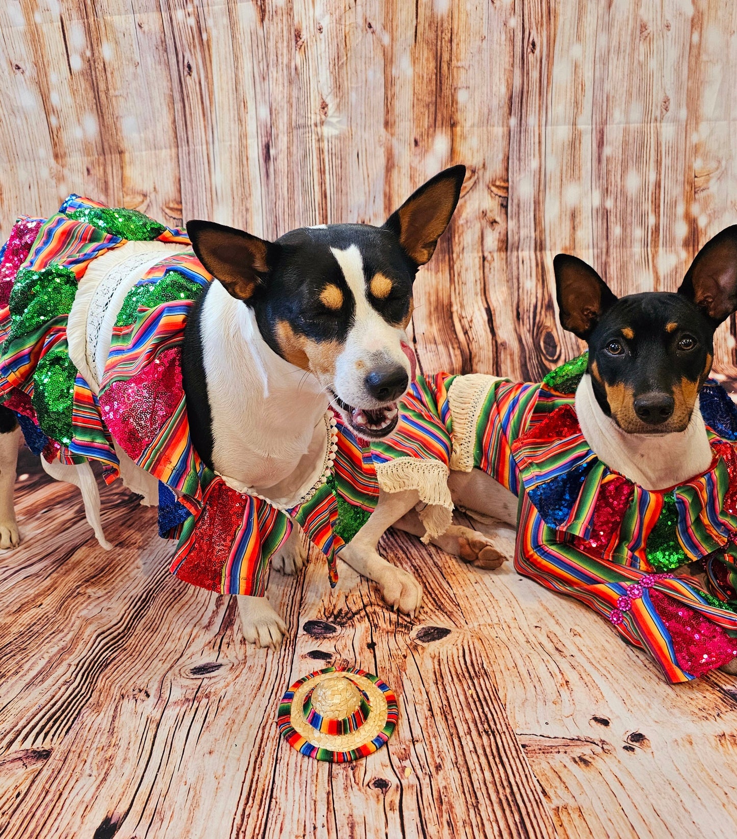 Cinco De Mayo sequin mexican pet dress, Mexican pet dress, Cinco De Mayo dog dress, Cinco De Mayo pet hat, Cinco de mayo mexican cat dress