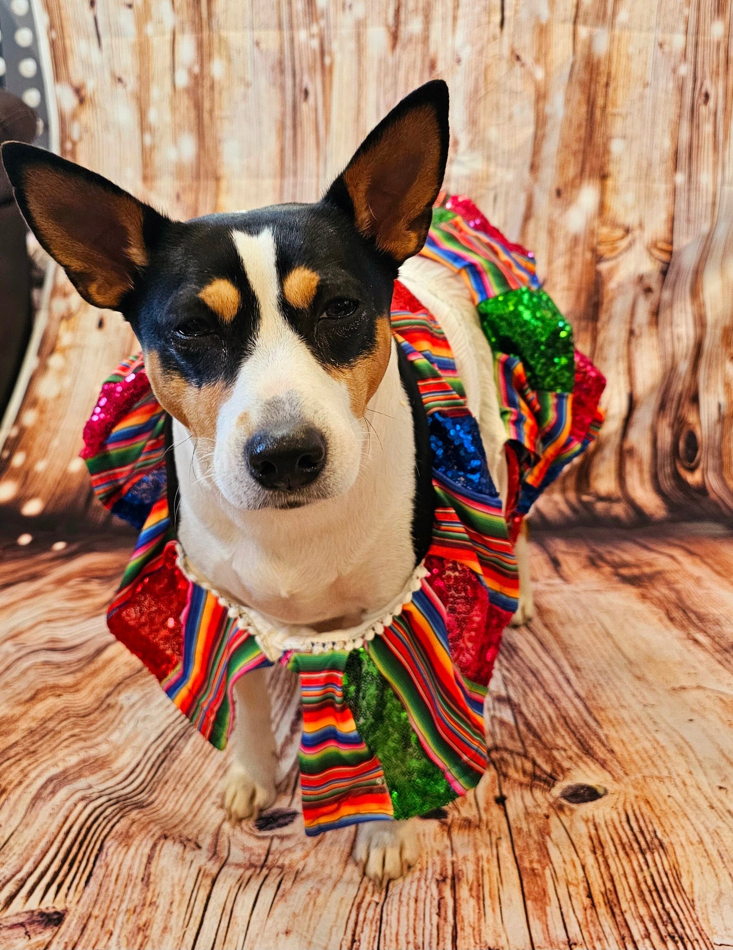 Cinco De Mayo sequin mexican pet dress, Mexican pet dress, Cinco De Mayo dog dress, Cinco De Mayo pet hat, Cinco de mayo mexican cat dress