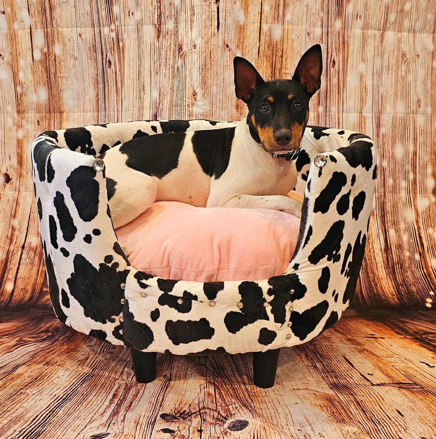Cow print luxury Pet bed, Cow pet bed, Moo Cow Pet bed, Cow luxury dog bed, Cow print pet furniture, country pet bed, round pet bed