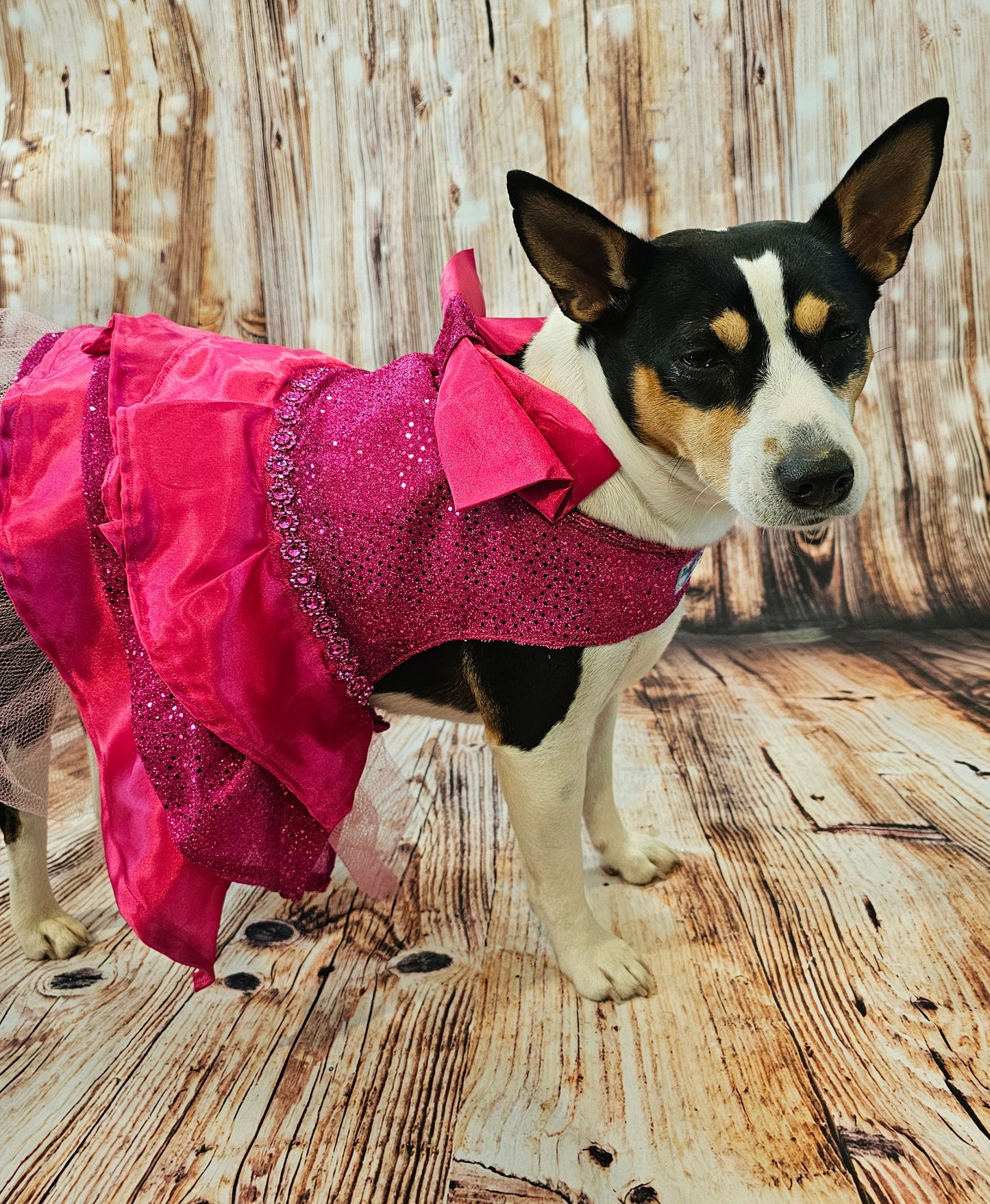 Pink 80's Pet Prom Dress, 80's Dog prom dress, 80's cat prom dress, 80'Pet Costume, 80's pet dresses, sequin pet prom dress, 80s pet prom