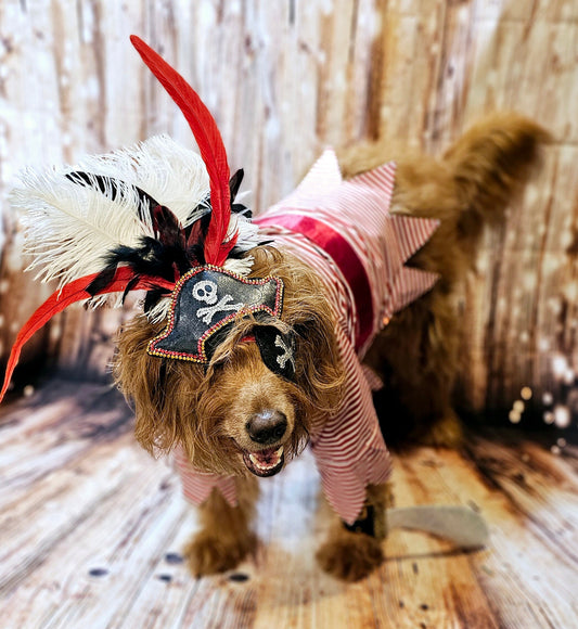 - Pirate pet costume, Pirate dog Costume