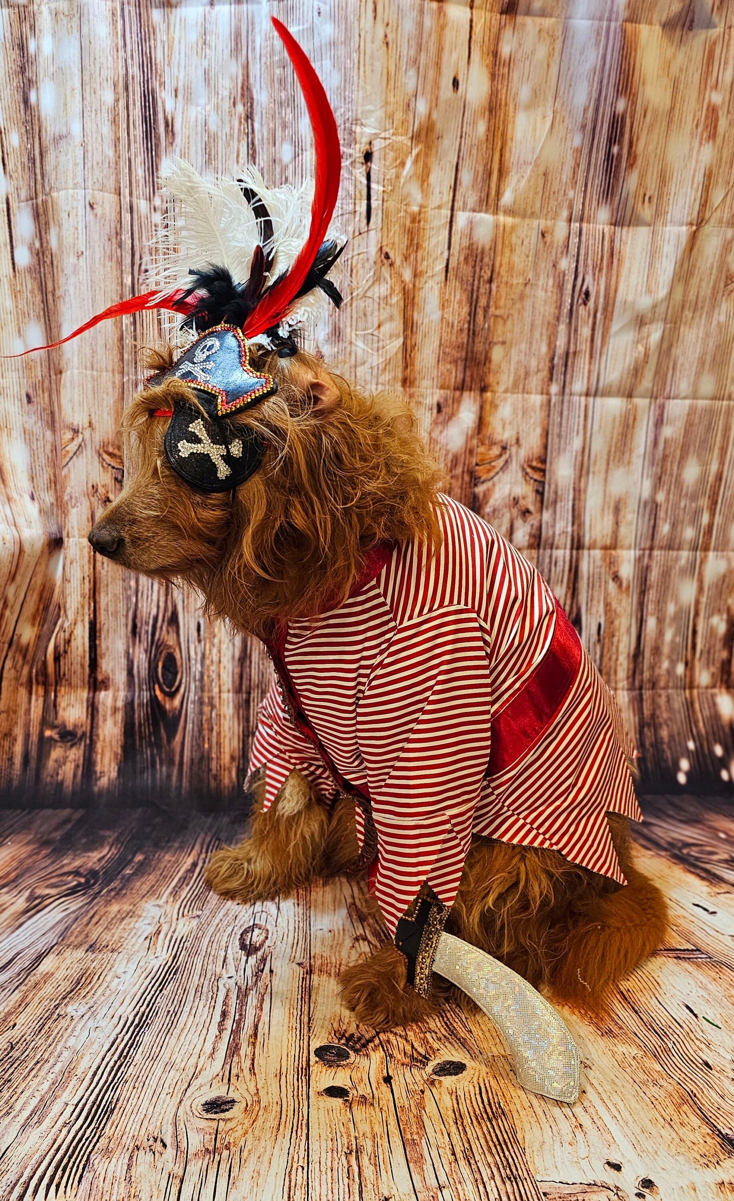 - Pirate pet costume, Pirate dog Costume