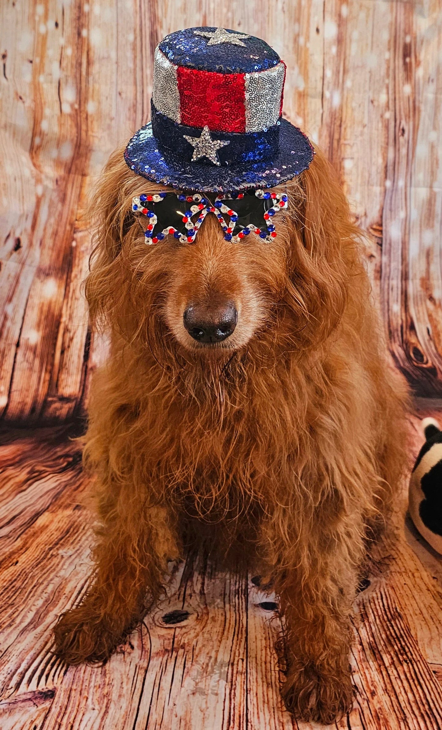 July 4th pet hat, 4th of July pet glasses, Independence day pet hat, July 4th pet hat, July 4th dog hat, July 4th dog glasses, pet hat