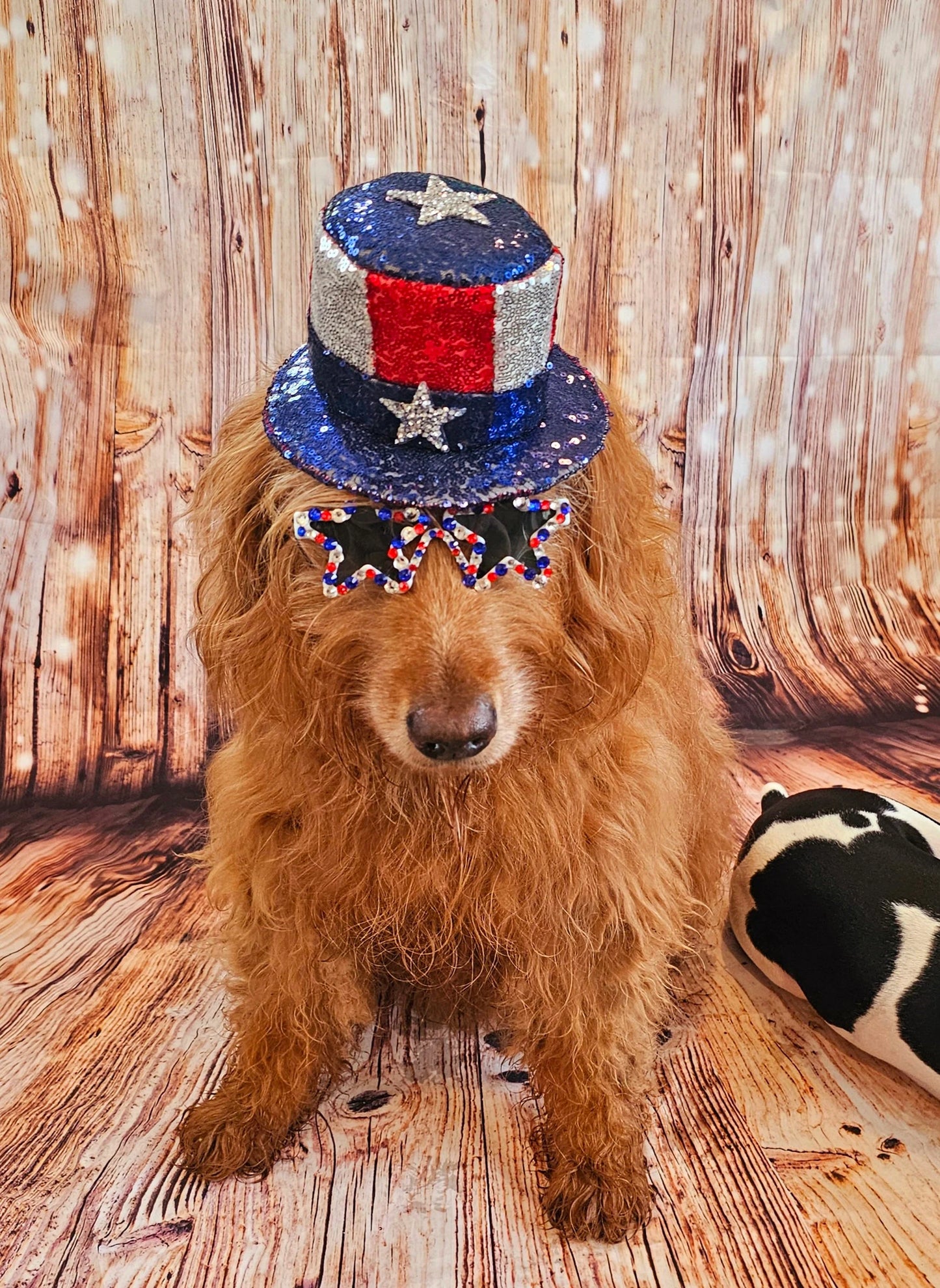 July 4th pet hat, 4th of July pet glasses, Independence day pet hat, July 4th pet hat, July 4th dog hat, July 4th dog glasses, pet hat