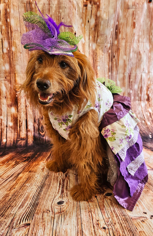 Kentucky derby pet hat and dress, Kentucky Derby dog hat and dress, Canine couture, Kentucky Derby pet costume, pet fasinator, dog fasinator