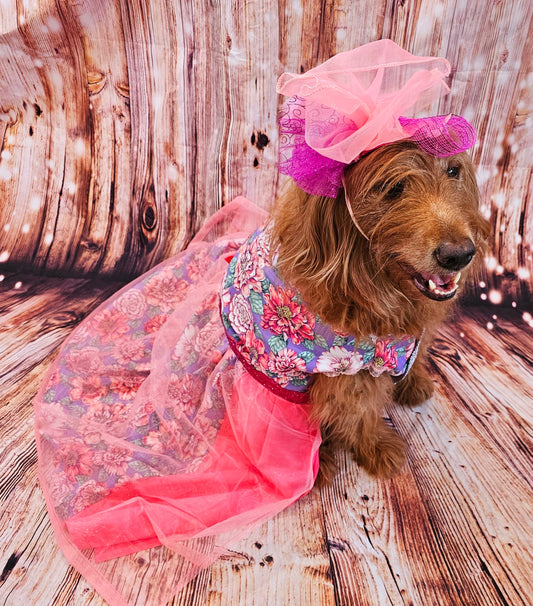 Kentucky derby pet dress and hat, Kentucky derby dog dress and hat, flower pet dress and hat, couture pet dress, fasinator pet hat, derby