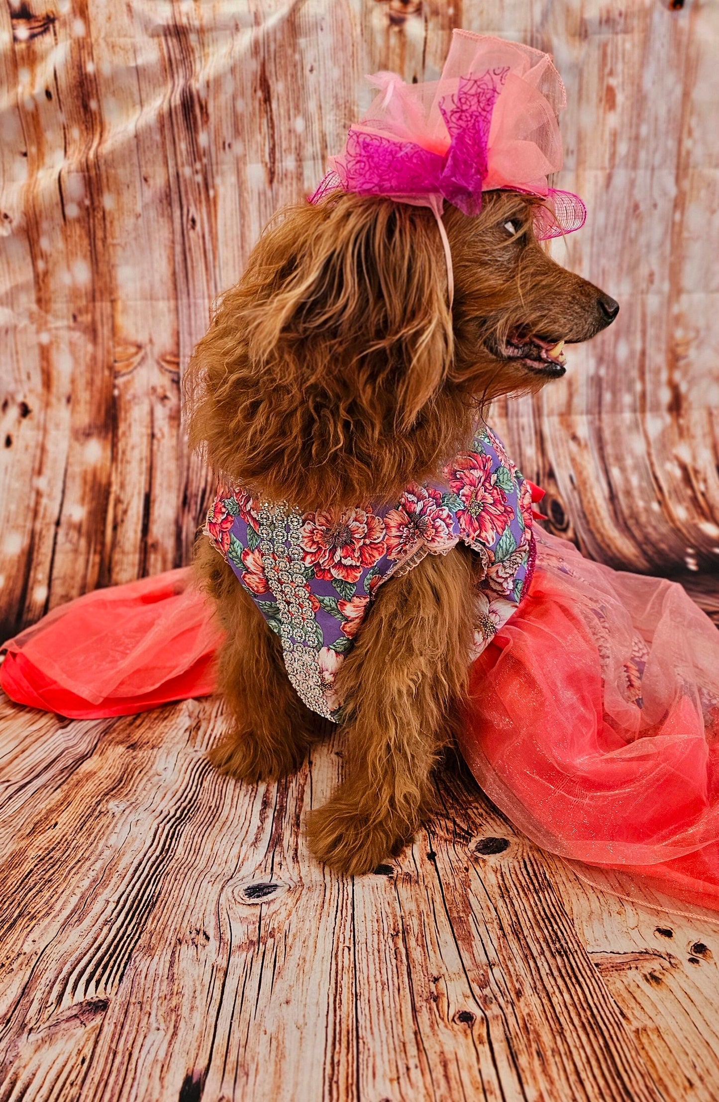 Kentucky derby pet dress and hat, Kentucky derby dog dress and hat, flower pet dress and hat, couture pet dress, fasinator pet hat, derby