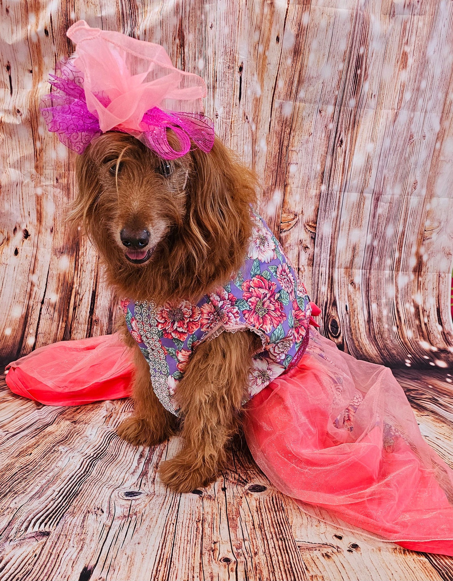 Kentucky derby pet dress and hat, Kentucky derby dog dress and hat, flower pet dress and hat, couture pet dress, fasinator pet hat, derby