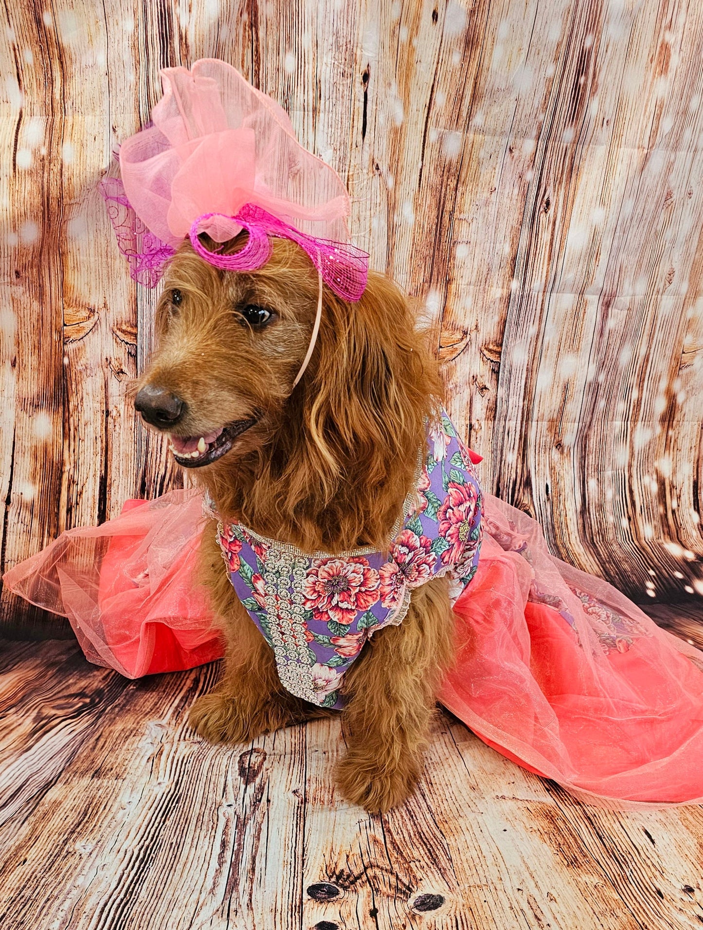 Kentucky derby pet dress and hat, Kentucky derby dog dress and hat, flower pet dress and hat, couture pet dress, fasinator pet hat, derby