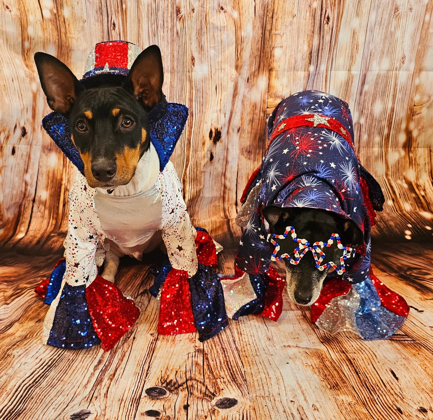 July 4th pet costume, July 4th pet costume, Independence day pet costume, red, white, and blue pet costume, 4th of July dog pet costume