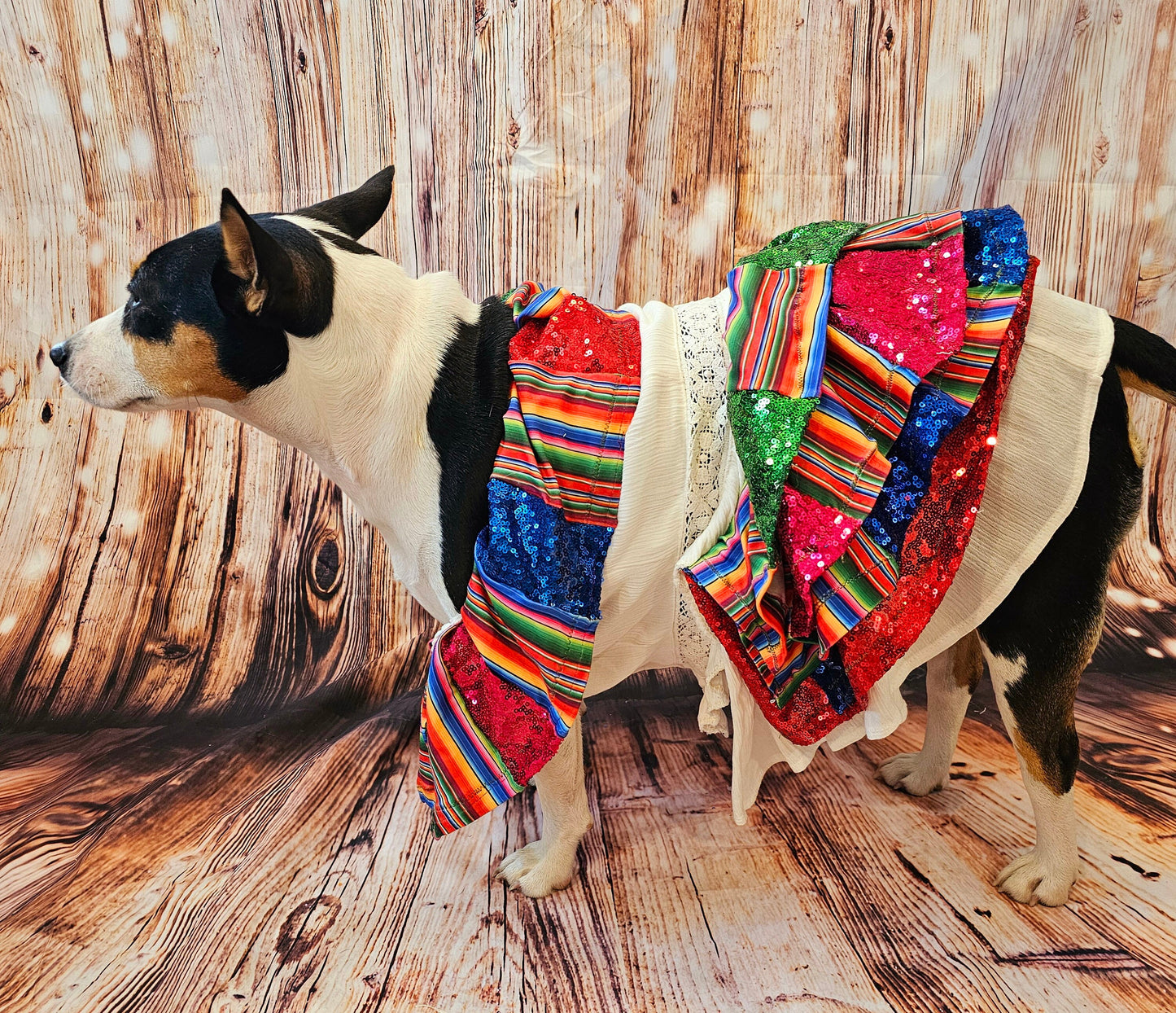 Cinco De Mayo sequin mexican pet dress, Mexican pet dress, Cinco De Mayo dog dress, Cinco De Mayo pet hat, Cinco de mayo mexican cat dress
