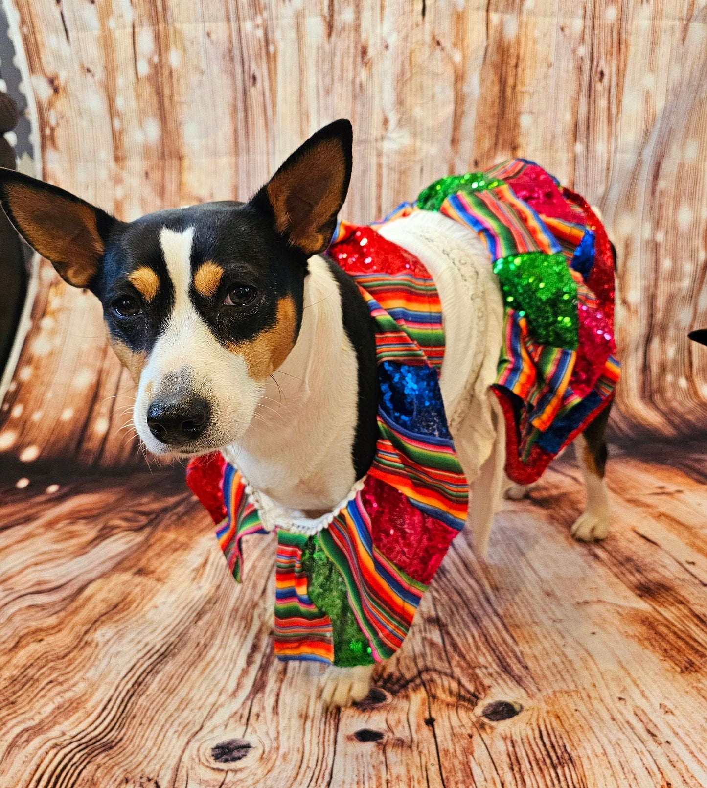 Cinco De Mayo sequin mexican pet dress, Mexican pet dress, Cinco De Mayo dog dress, Cinco De Mayo pet hat, Cinco de mayo mexican cat dress