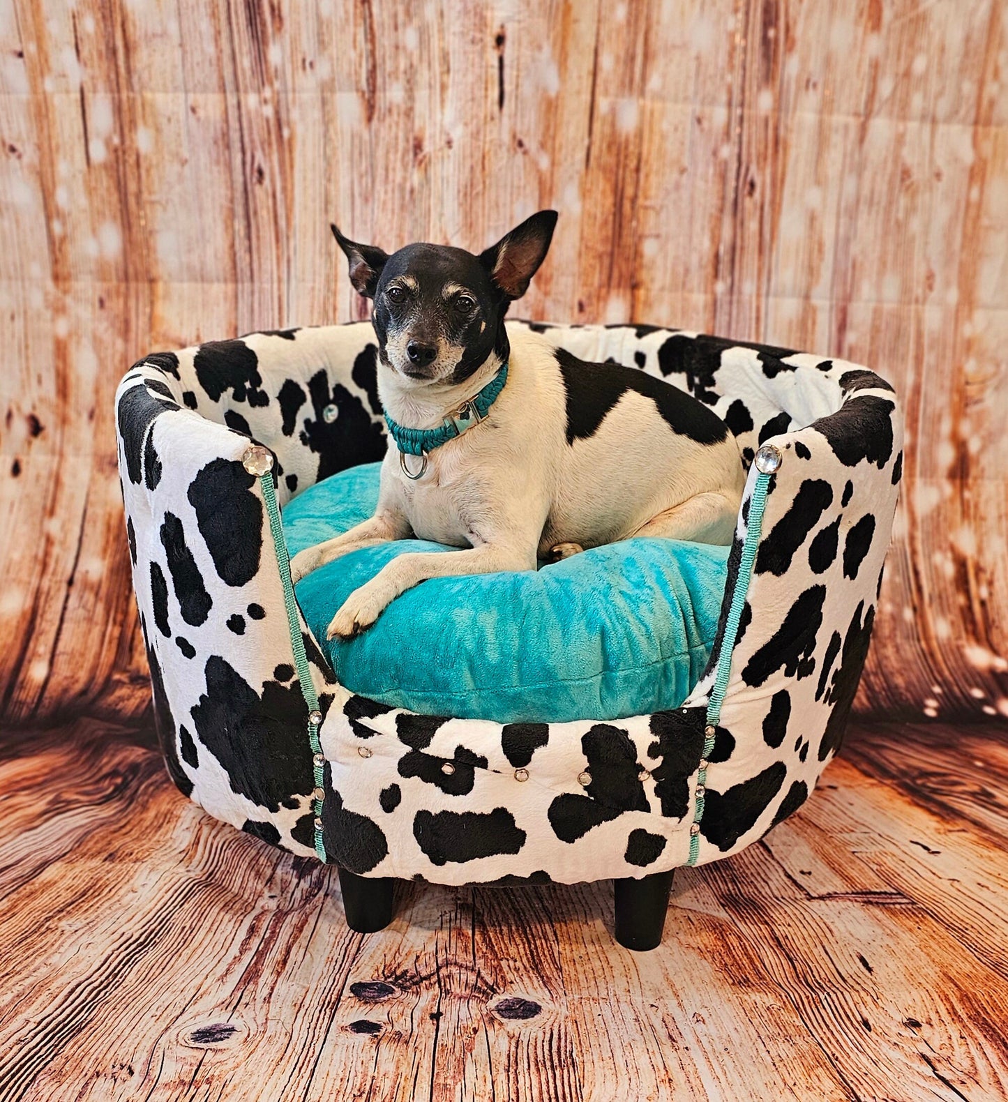 Cow print luxury Pet bed, Cow pet bed, Moo Cow Pet bed, Cow luxury dog bed, Cow print pet furniture, country pet bed, round pet bed