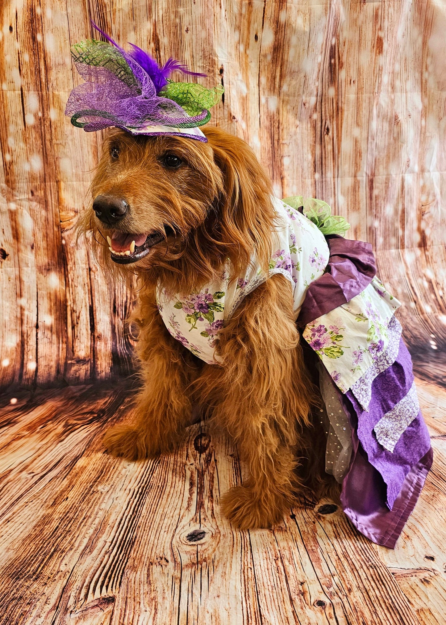 Kentucky derby pet hat and dress, Kentucky Derby dog hat and dress, Canine couture, Kentucky Derby pet costume, pet fasinator, dog fasinator