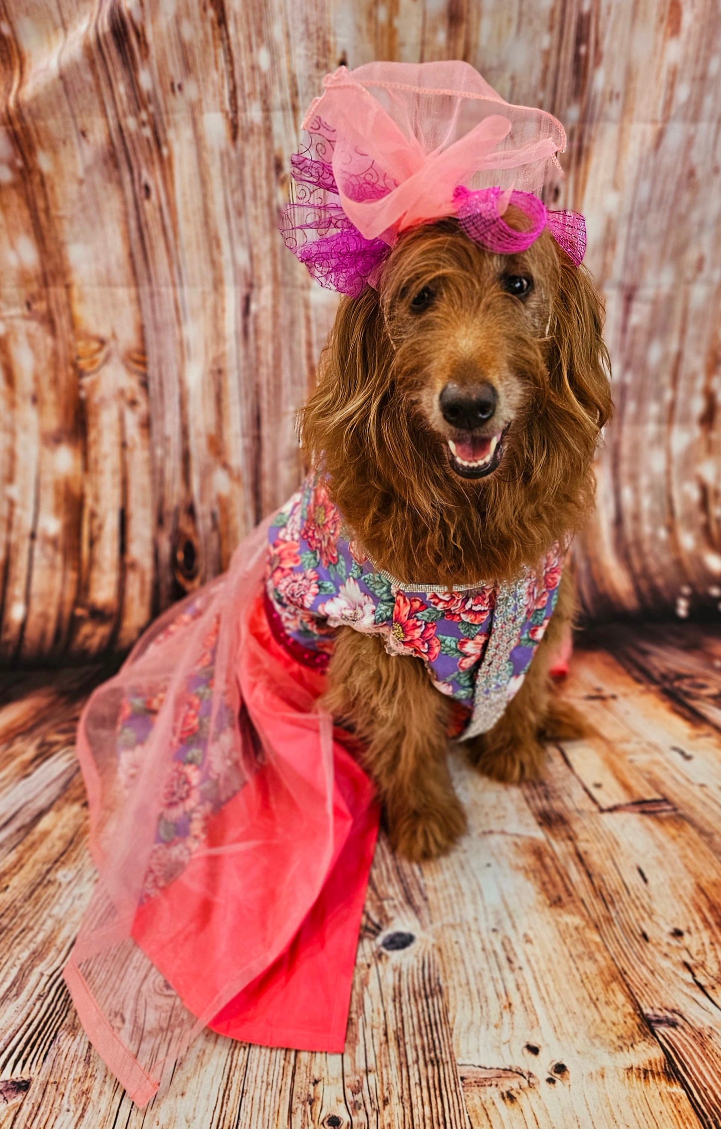 Kentucky derby pet dress and hat, Kentucky derby dog dress and hat, flower pet dress and hat, couture pet dress, fasinator pet hat, derby
