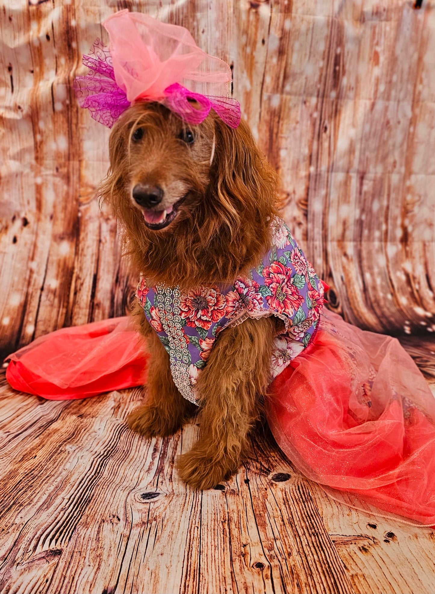 Kentucky derby pet dress and hat, Kentucky derby dog dress and hat, flower pet dress and hat, couture pet dress, fasinator pet hat, derby