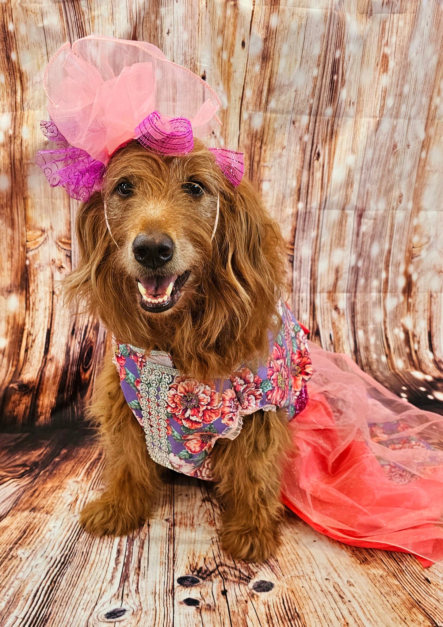 Kentucky derby pet dress and hat, Kentucky derby dog dress and hat, flower pet dress and hat, couture pet dress, fasinator pet hat, derby