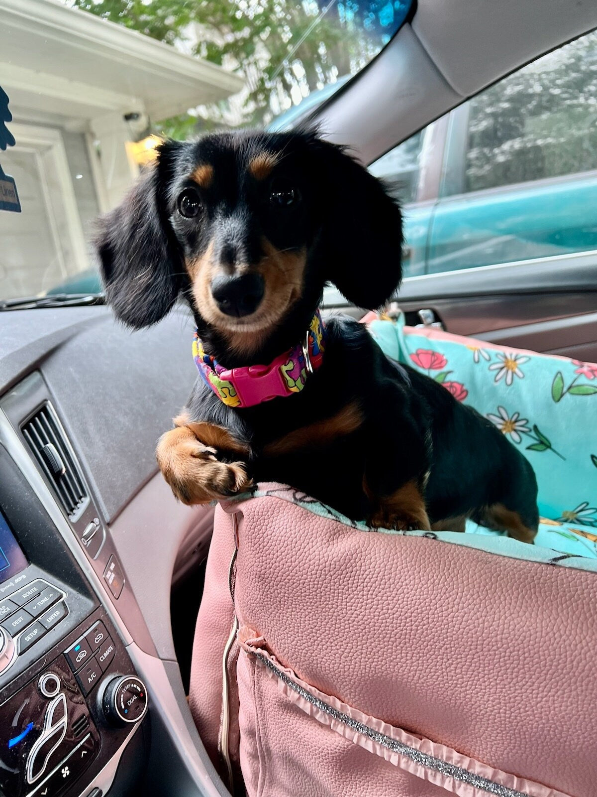 Flower Pet Booster seat, Pink pet booster seat, Dog booster seat, Pet car seat, pet car seat, pet storage car seat, pink dog car seat