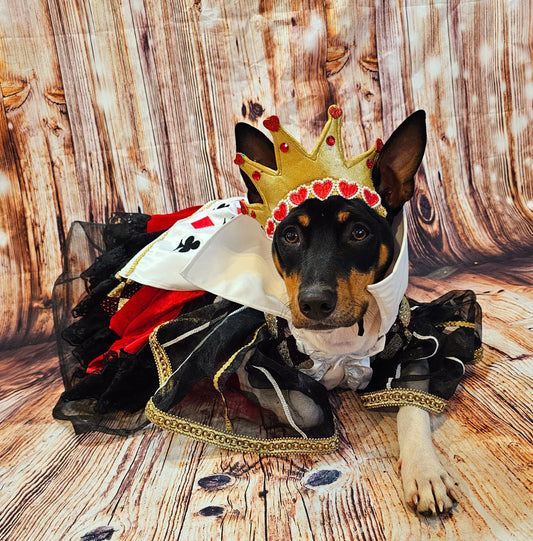 -  Queen of Hearts sequin pet costume