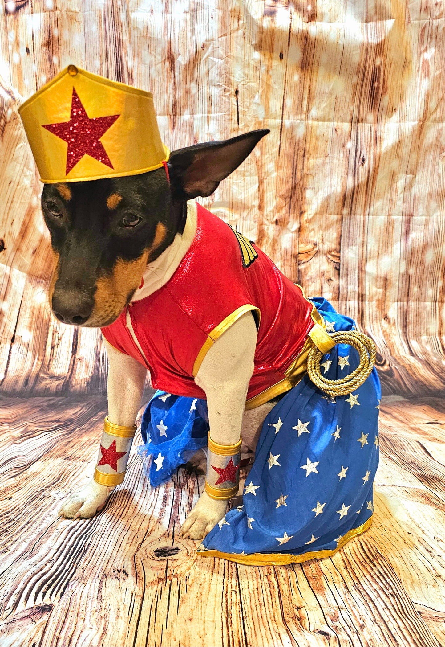 - Wonder Women glitter pet costume, Wonder Women dog costume, super hero pet costume, super hero dog costume, Wonder women cat costume, Halloween pet
