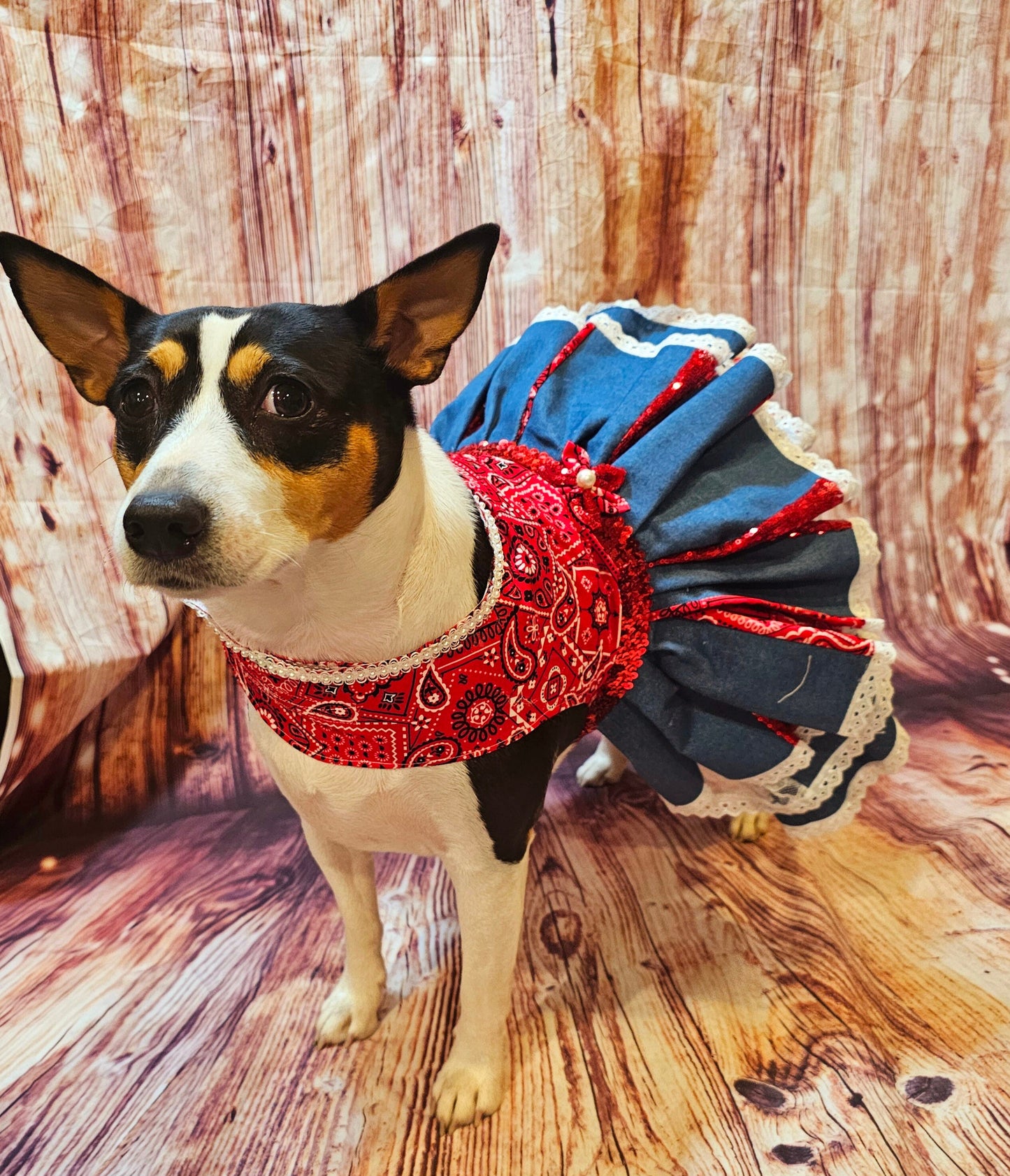 - Western cowgirl pet dress, Country western pet dress