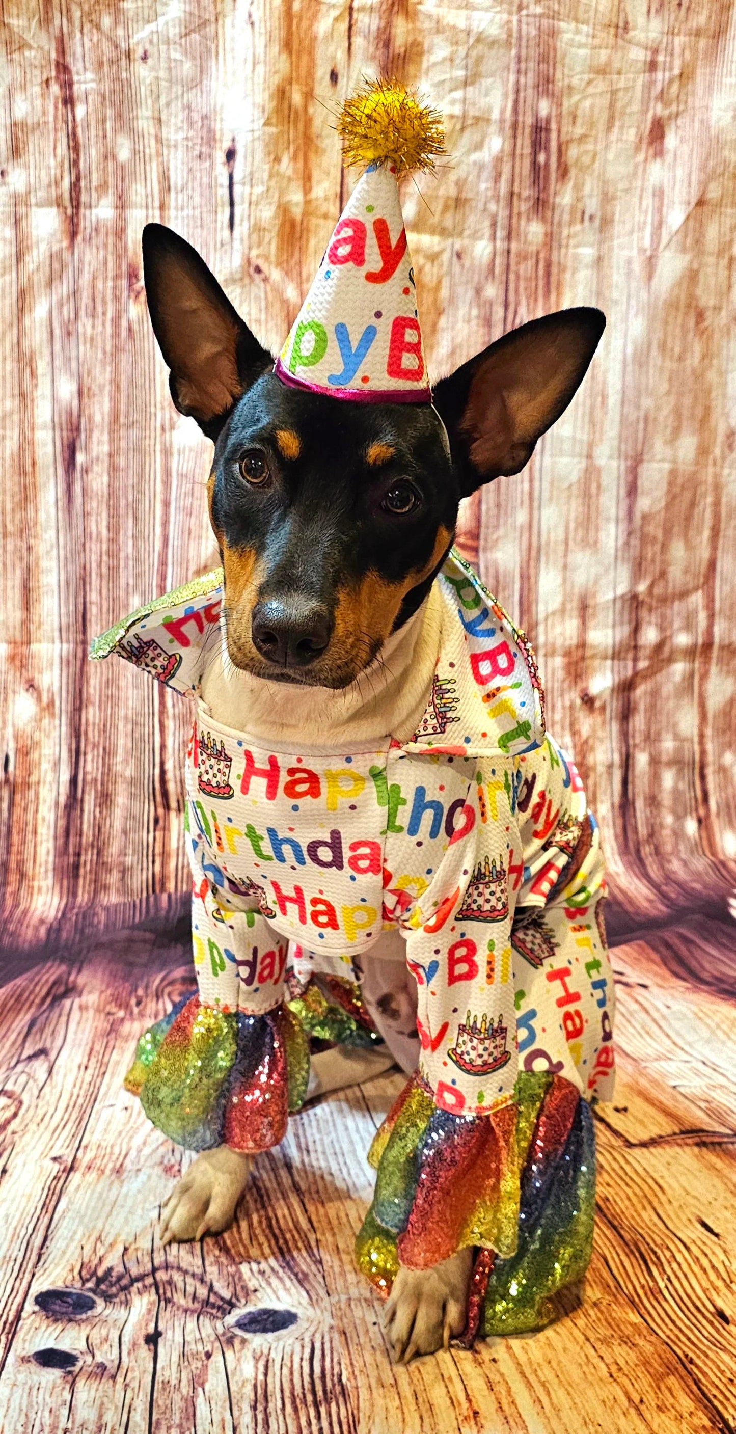 Birthday Boy Pet costume, Birthday boy dog costume, Happy Birthday sequin Pet suit and hat, Birthday Pet suit and hat, Birthday Pet body suit
