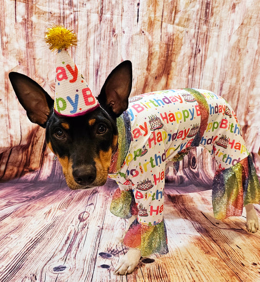Birthday Boy Pet costume, Birthday boy dog costume, Happy Birthday sequin Pet suit and hat, Birthday Pet suit and hat, Birthday Pet body suit