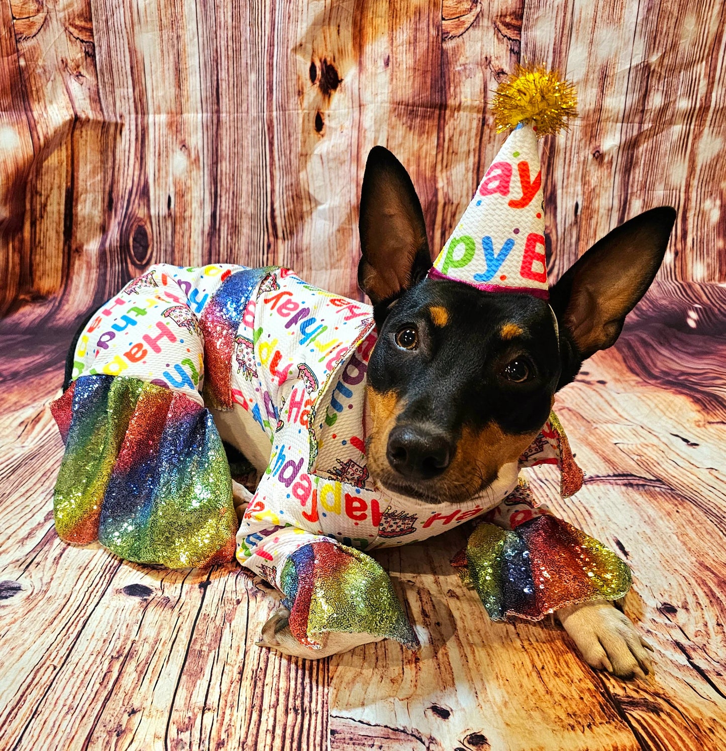 Birthday Boy Pet costume, Birthday boy dog costume, Happy Birthday sequin Pet suit and hat, Birthday Pet suit and hat, Birthday Pet body suit