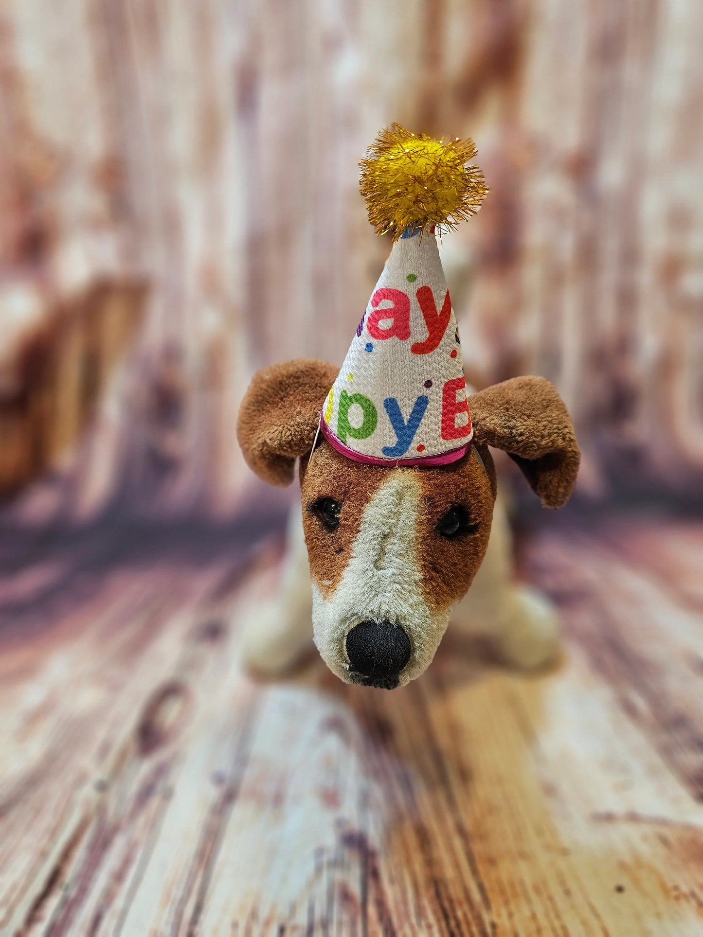 Pet Birthday Hat, Dog Birthday Hat, Happy Birthday dog hat, Happy Birthday cat hat, celebration pet hat, celebration Dog hat