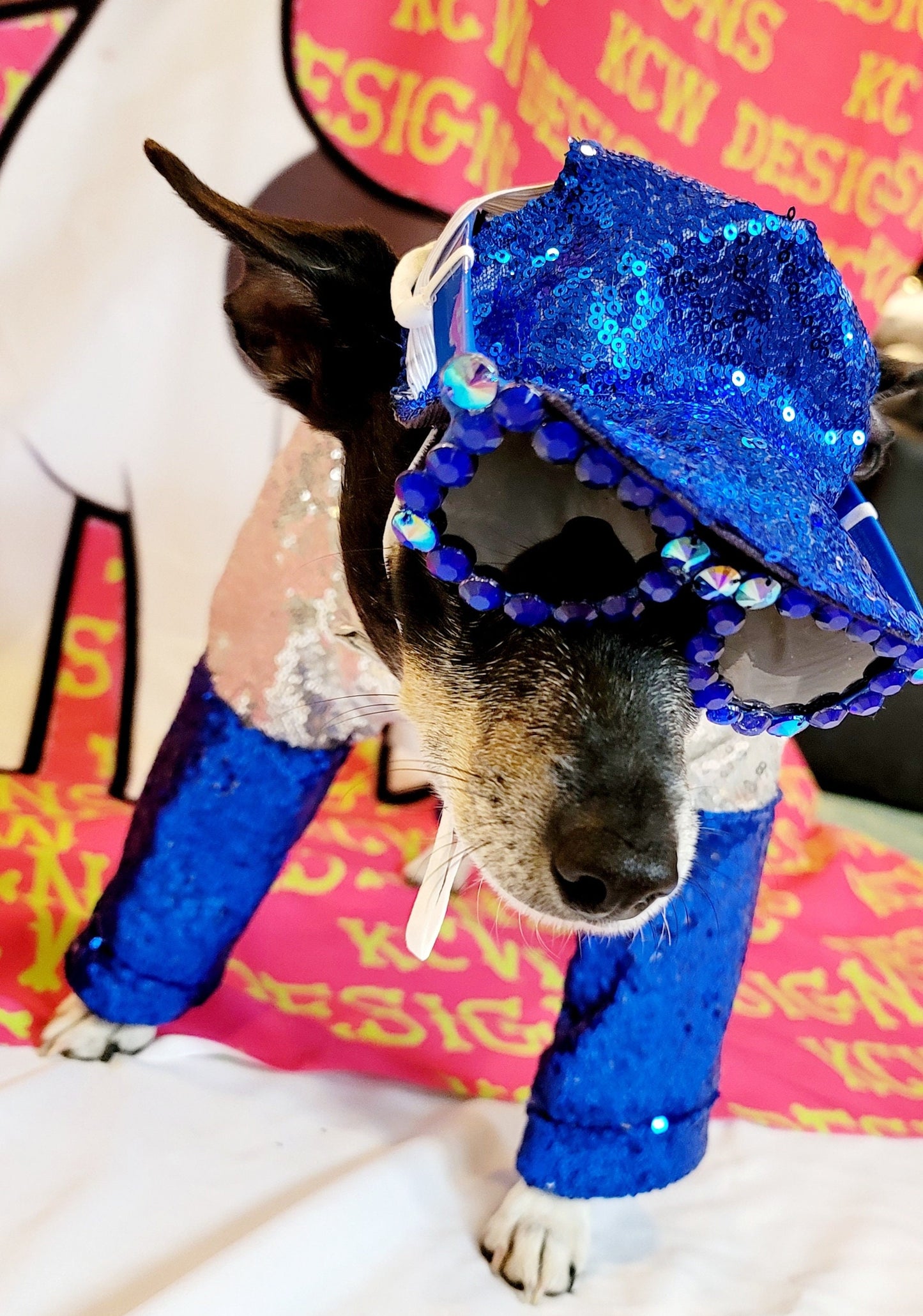 - Elton John Dodger sequin pet costume, Elton John Dodger dog costume, Elton cat costume