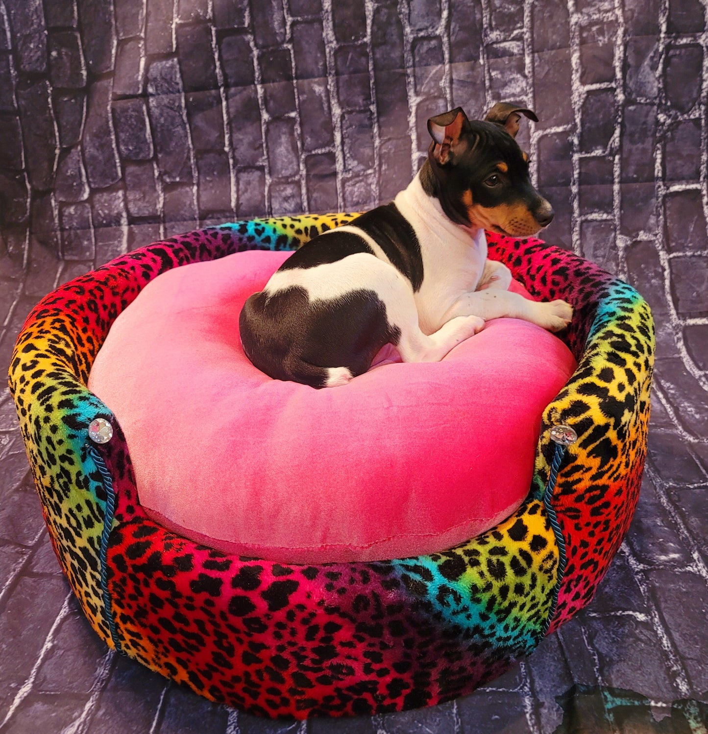 Rainbow Leopard Round Pet, rainbow luxury pet bed, leopard Round pet bed, cat Round bed, dog Round bed, pet Round bed