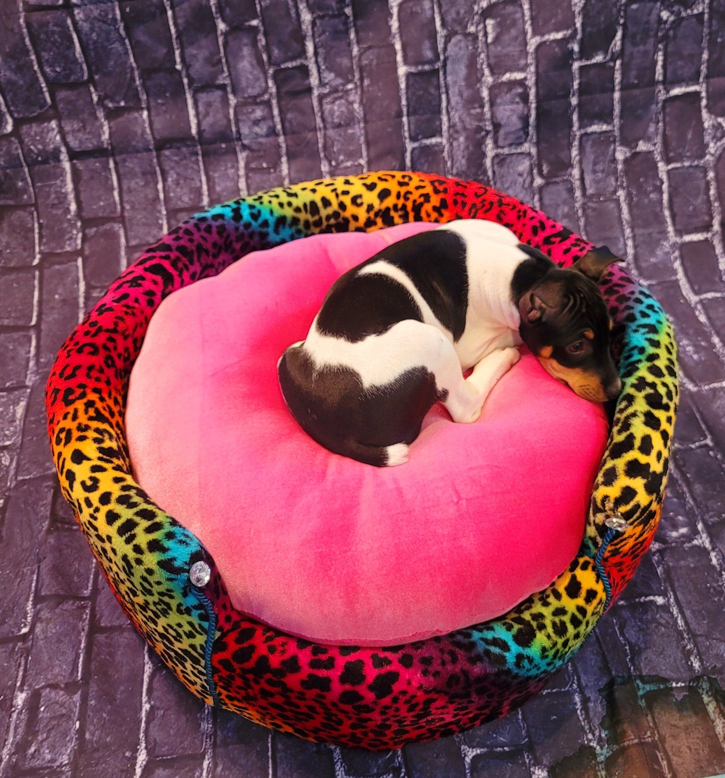 Rainbow Leopard Round Pet, rainbow luxury pet bed, leopard Round pet bed, cat Round bed, dog Round bed, pet Round bed