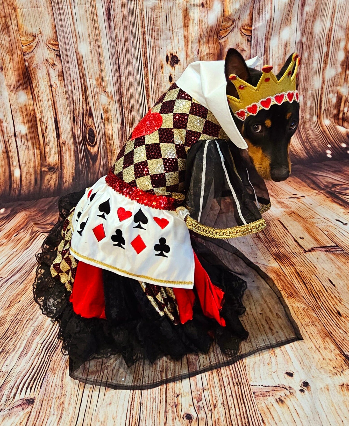 -  Queen of Hearts sequin pet costume