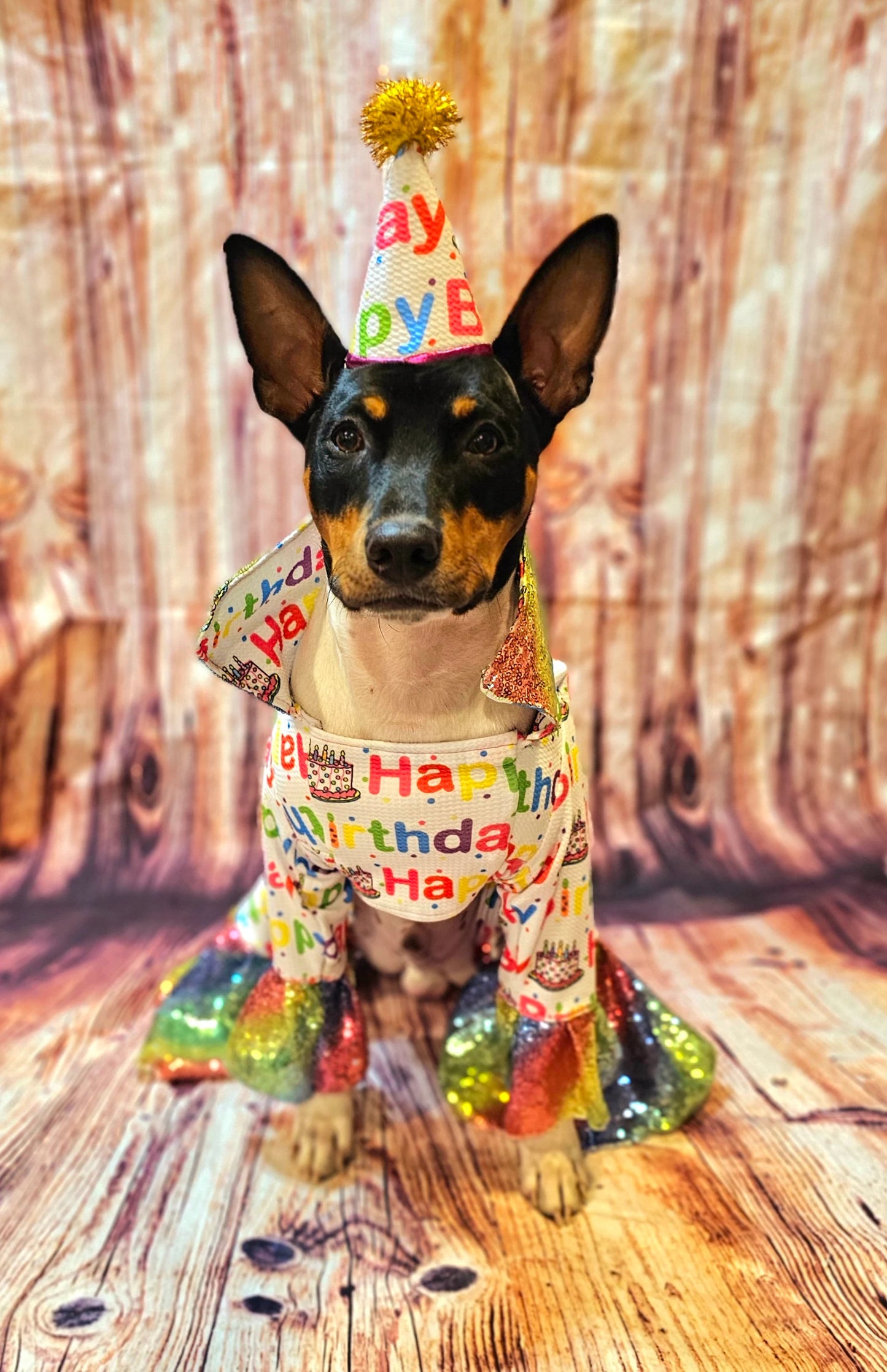 Birthday Boy Pet costume, Birthday boy dog costume, Happy Birthday sequin Pet suit and hat, Birthday Pet suit and hat, Birthday Pet body suit
