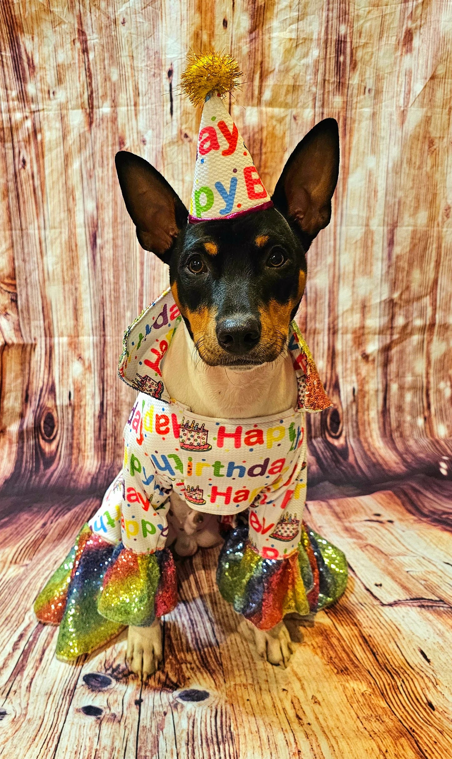 Birthday Boy Pet costume, Birthday boy dog costume, Happy Birthday sequin Pet suit and hat, Birthday Pet suit and hat, Birthday Pet body suit