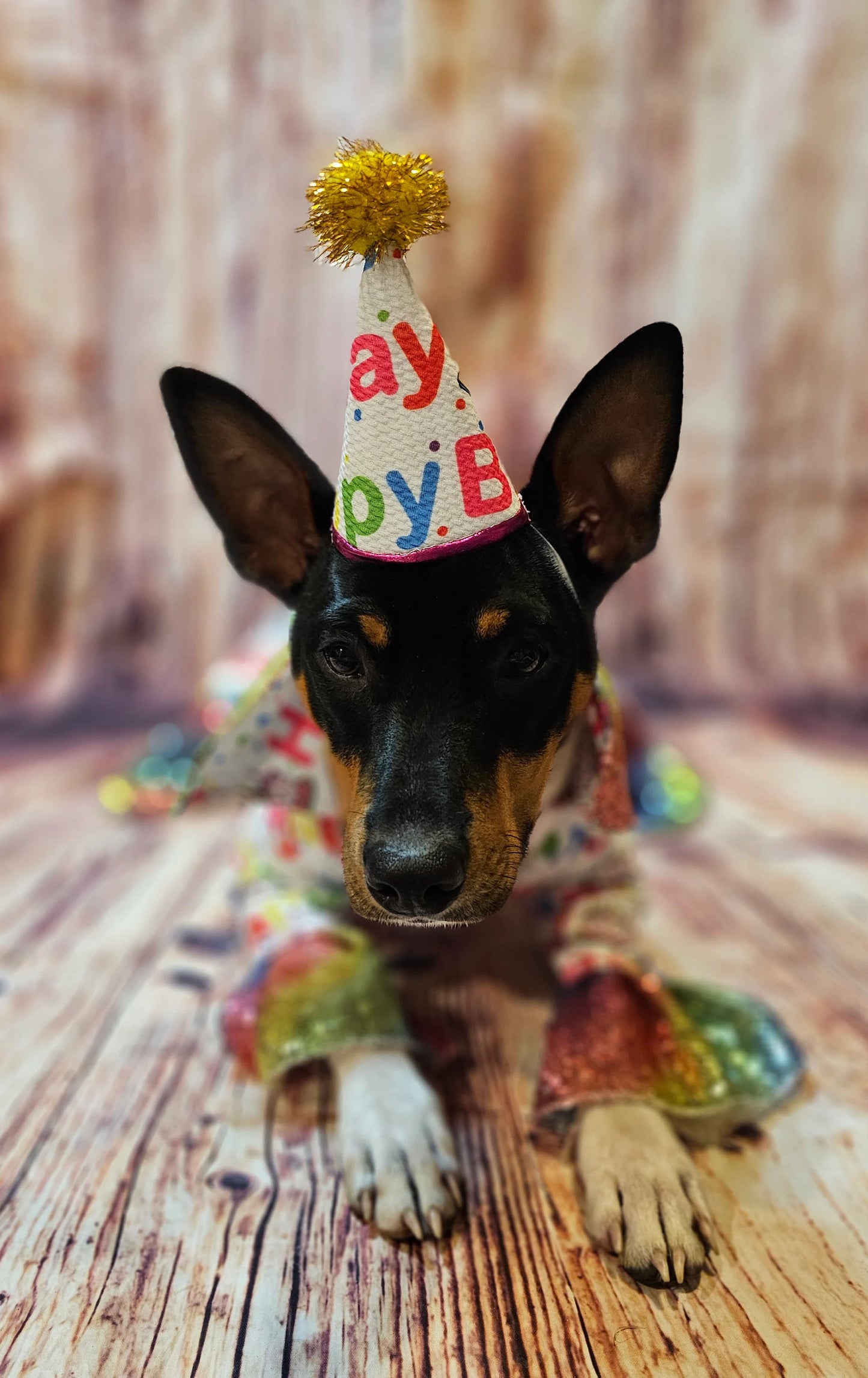 Birthday Boy Pet costume, Birthday boy dog costume, Happy Birthday sequin Pet suit and hat, Birthday Pet suit and hat, Birthday Pet body suit