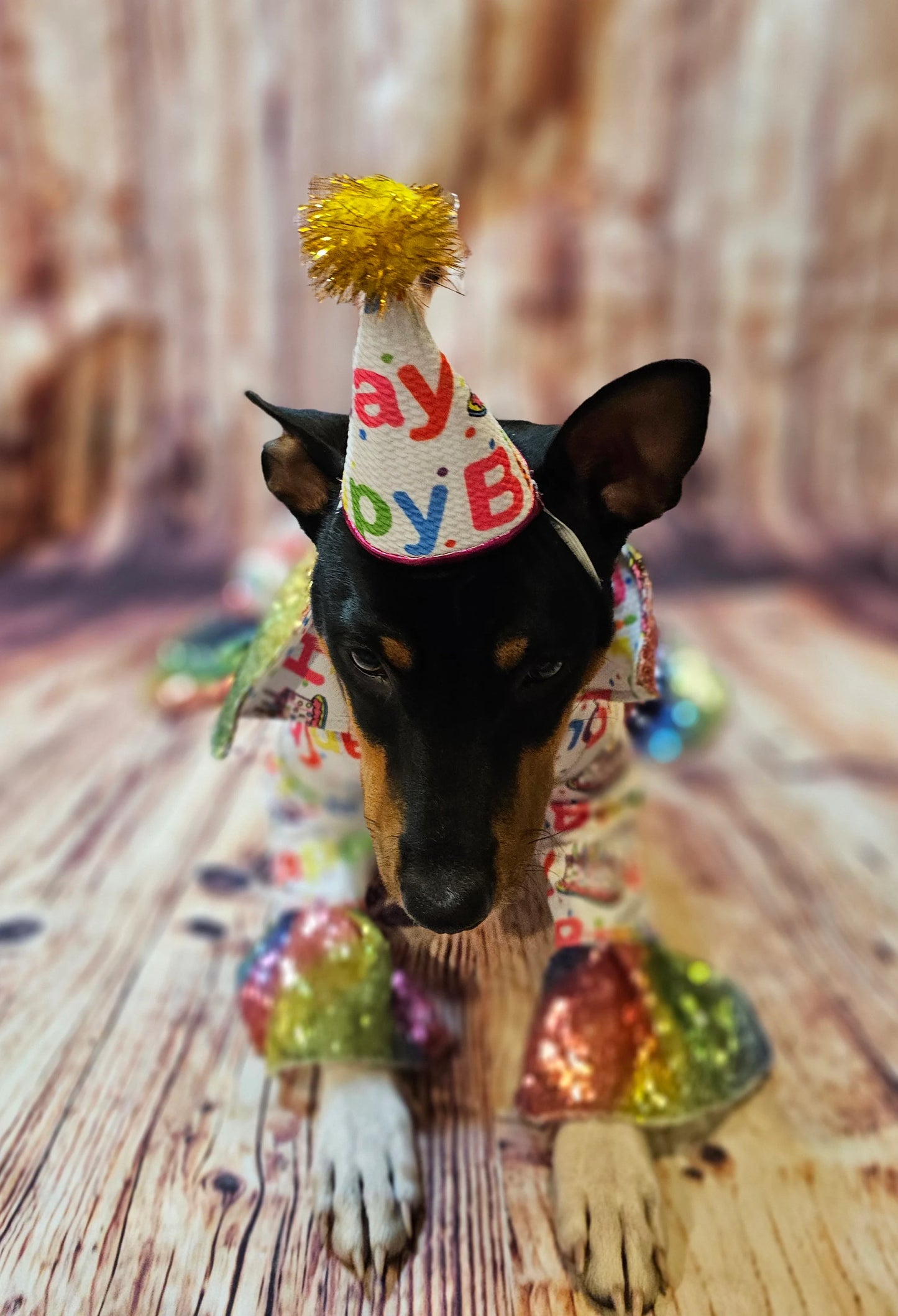 Pet Birthday Hat, Dog Birthday Hat, Happy Birthday dog hat, Happy Birthday cat hat, celebration pet hat, celebration Dog hat