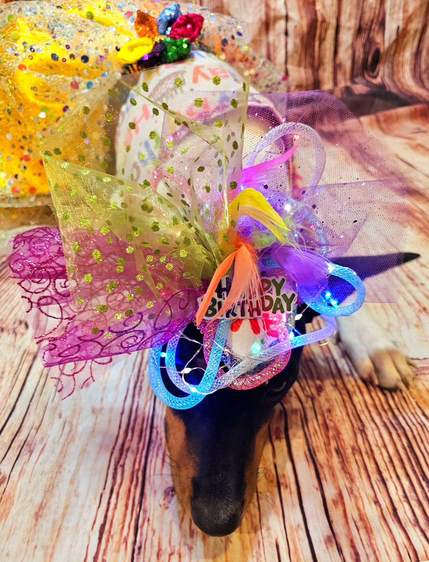 Light up pet birthday hat, Birthday pet fendora, Birthday fendora for pets, led light pet hat, light up dog birthday, light up cat birthday