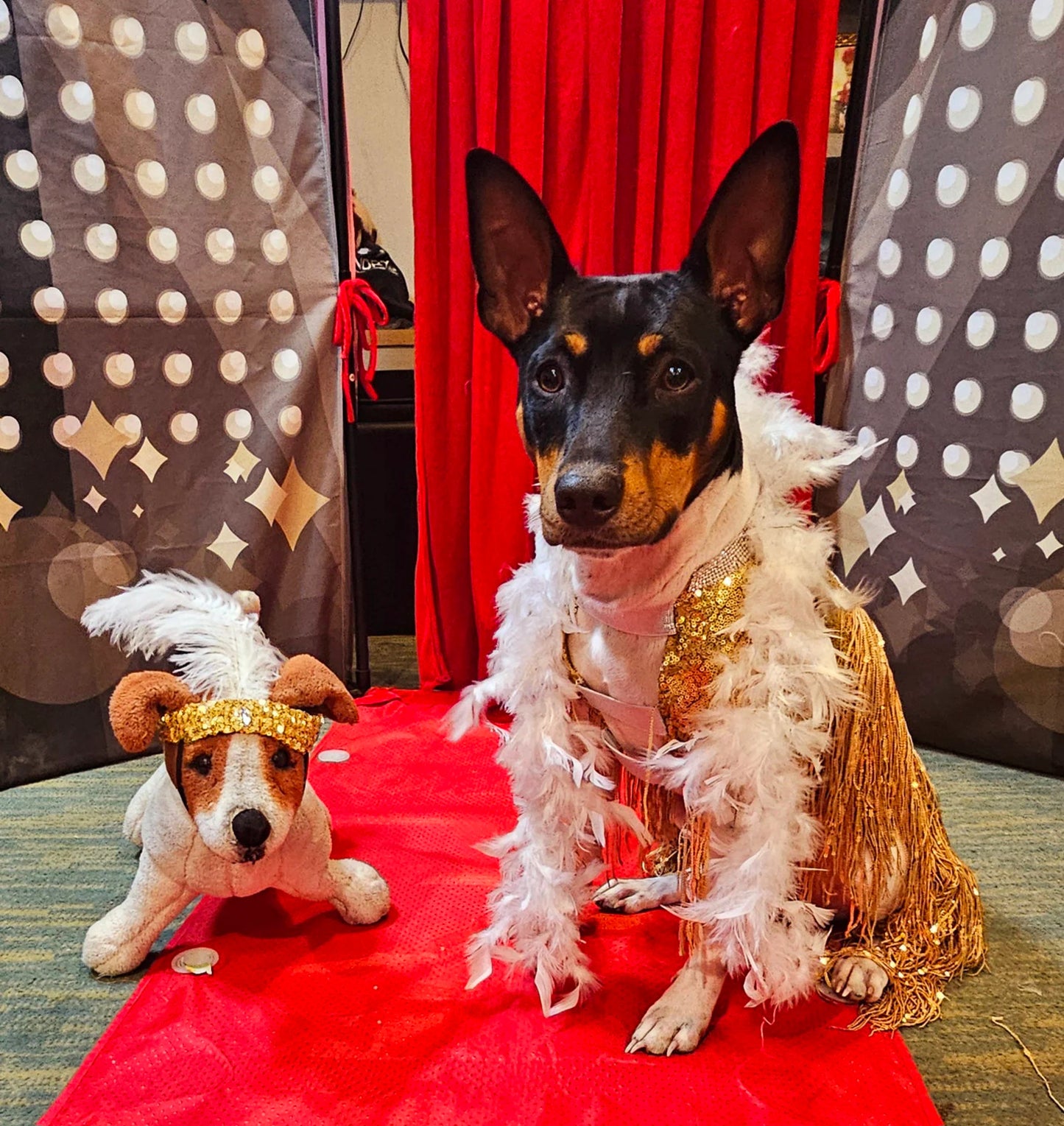 - Flappers sequin pet costume, flappers fringe pet costume