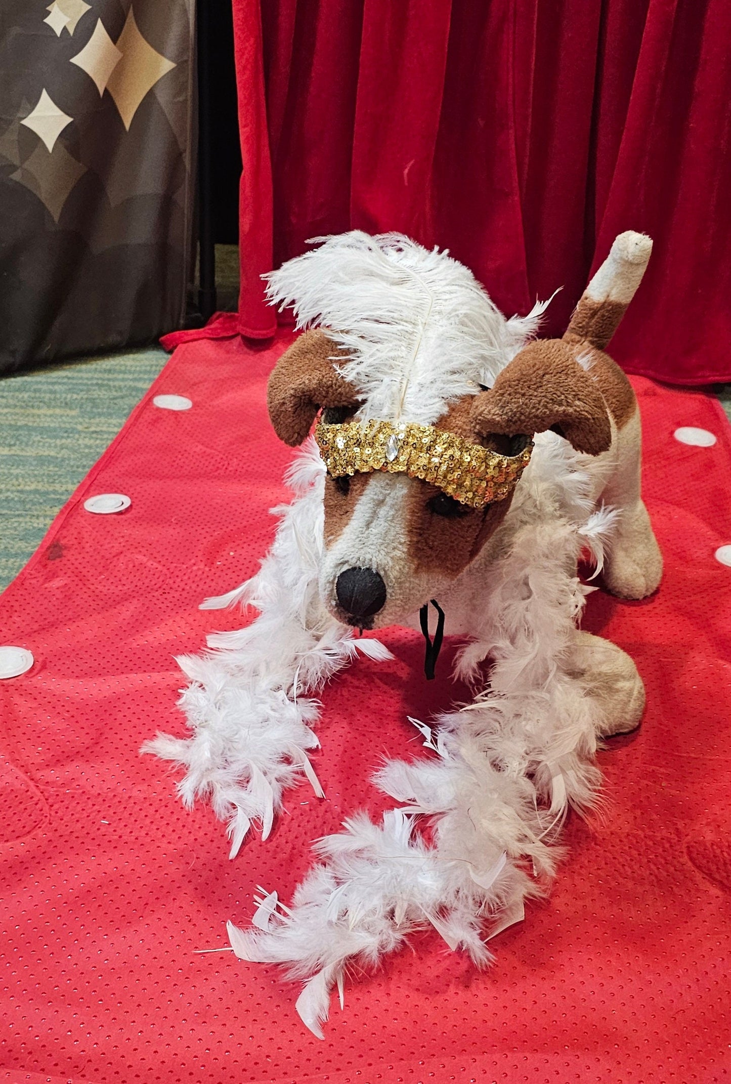 Flapper 20s pet accessories, 20s Flapper per head band and boa, 20s flapper dog accessories, 20s flapper cat accessories, Halloween 20s pet set