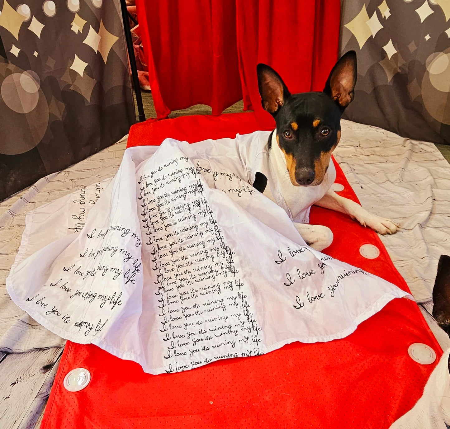 - TTPD Eras pet dress, I love you its ruining my life pet dress, TTPD pet dress, ttpd dog costume, who's afraid of little old me pet dress