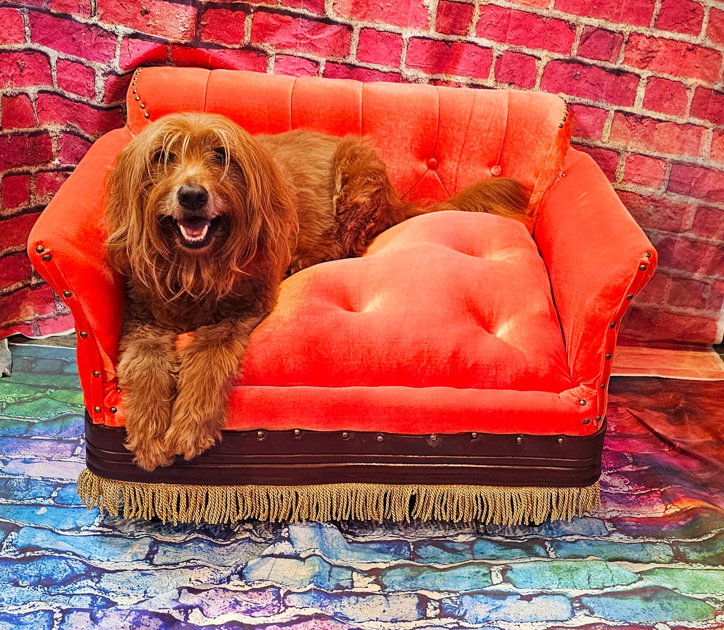 Friends Pet Sofa, Friends Dog Sofa, Central Perk Pet Sofa, Central Perk dog sofa, Friends pet couch, Friends dog couch, luxury pet bed