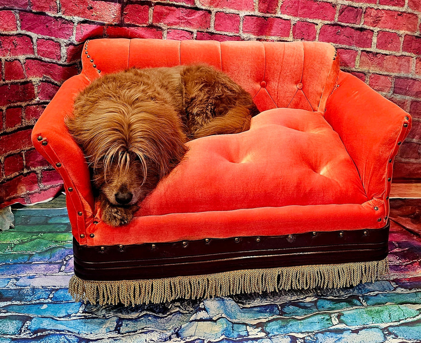 Friends Pet Sofa, Friends Dog Sofa, Central Perk Pet Sofa, Central Perk dog sofa, Friends pet couch, Friends dog couch, luxury pet bed