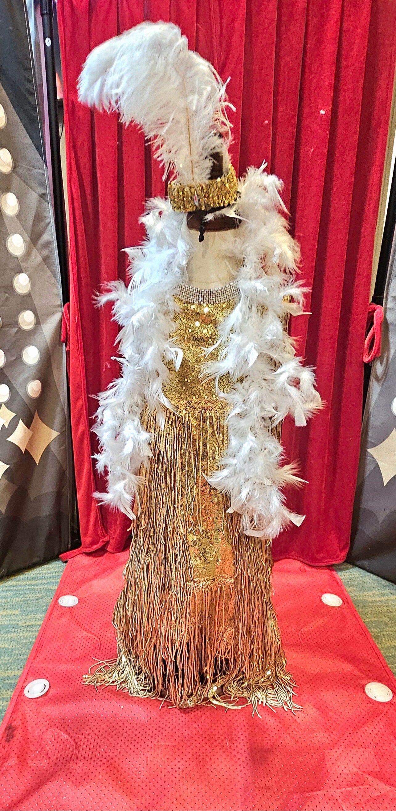 - Flappers sequin pet costume, flappers fringe pet costume