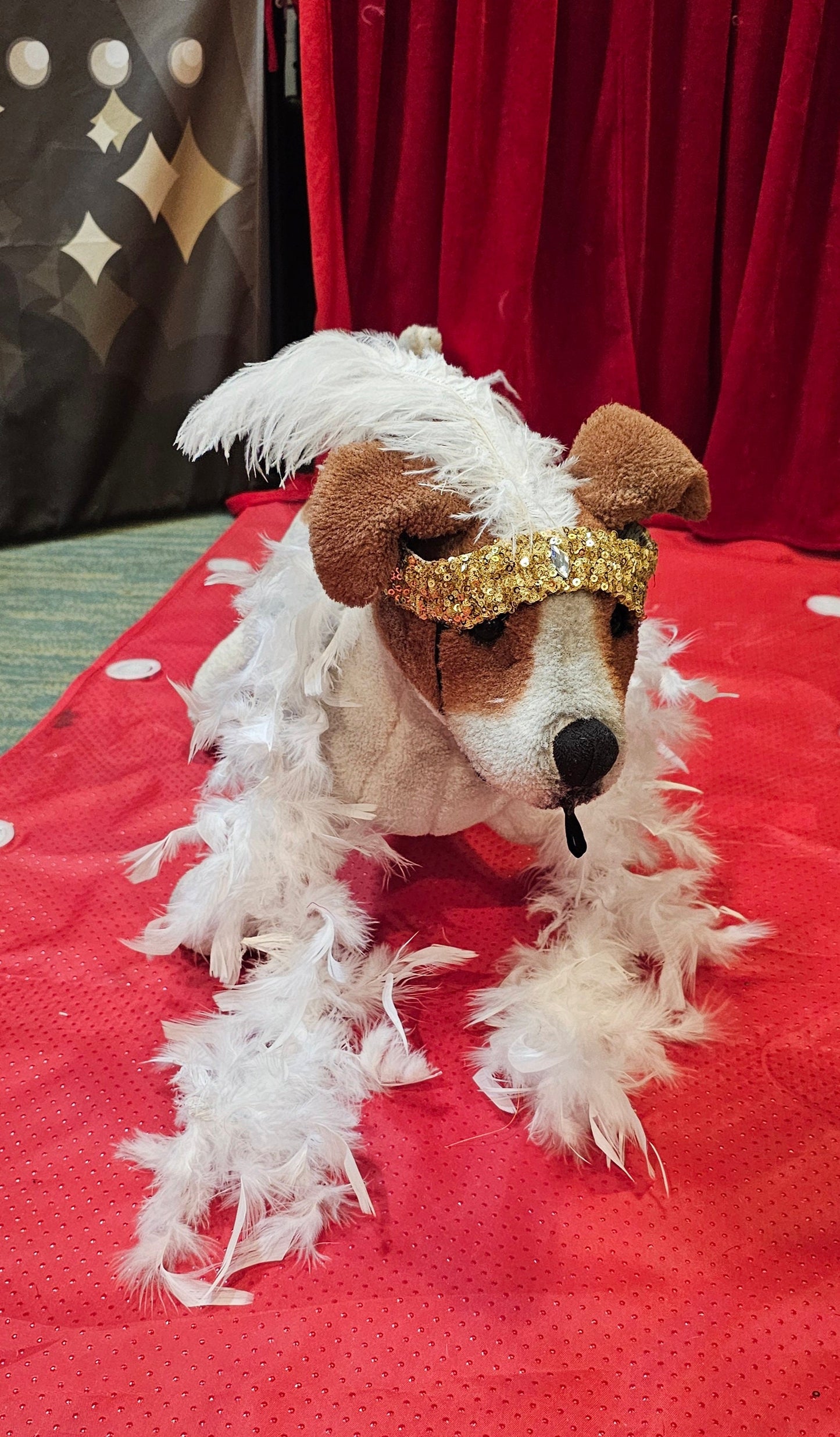 Flapper 20s pet accessories, 20s Flapper per head band and boa, 20s flapper dog accessories, 20s flapper cat accessories, Halloween 20s pet set