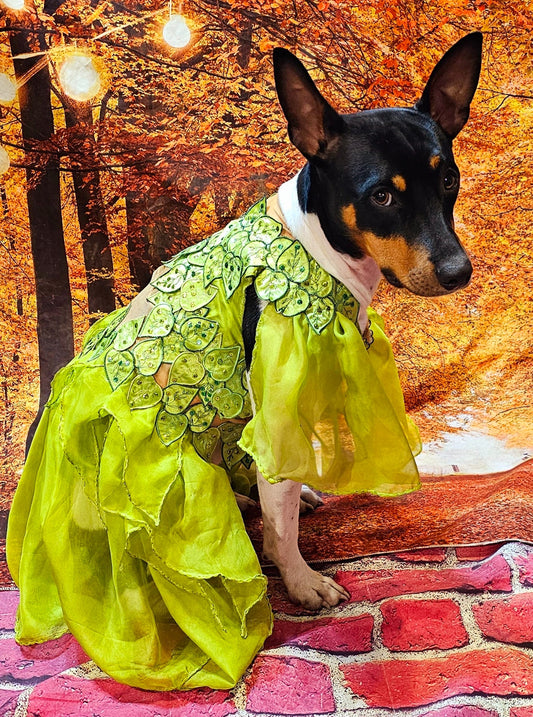 Folklore pet dress, folklore pet costume, fairy core pet dress, folklore dog dress, folklore cat dress, folklore era pet costume, Taylor pet
