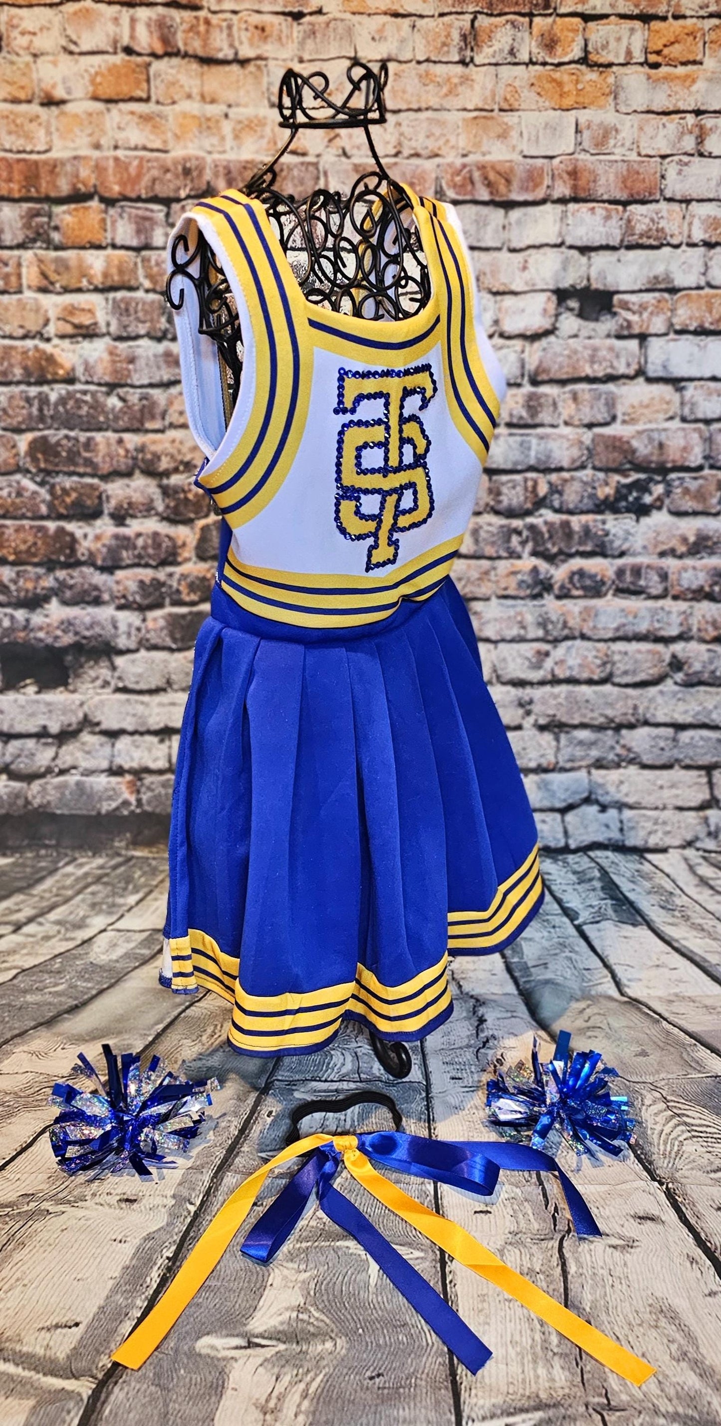 - Taylor 1989 Pet Era, Taylor 1989 pet era dress, Taylor Swift Pet cheerleading costume, 1989 cat era, 1989 dog era, Taylor Swift pet cheerleader
