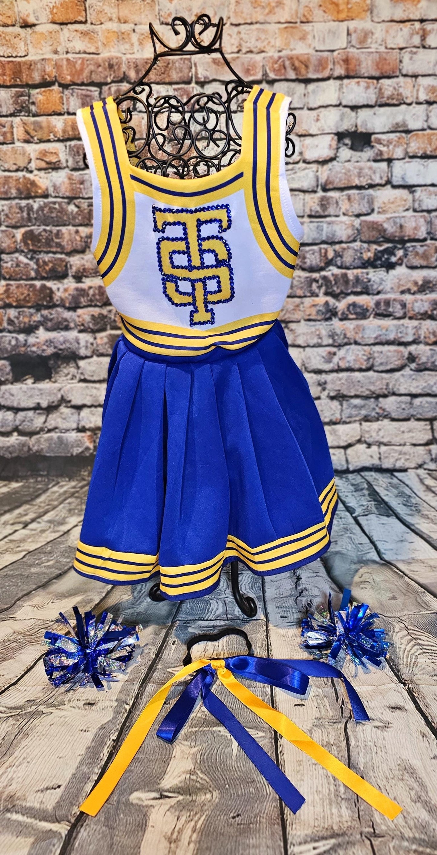 - Taylor 1989 Pet Era, Taylor 1989 pet era dress, Taylor Swift Pet cheerleading costume, 1989 cat era, 1989 dog era, Taylor Swift pet cheerleader